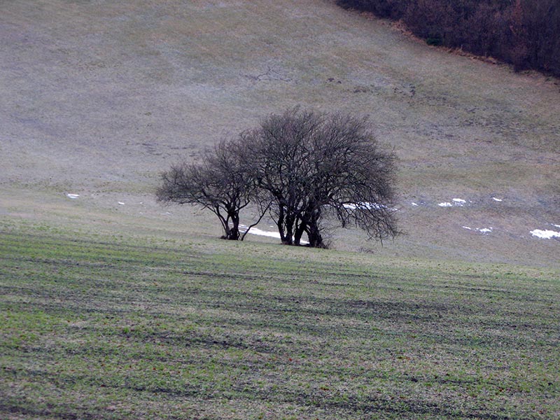 lorenizpechkogel